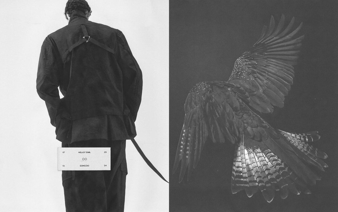 SONGZIO X HELIOT EMIL 'FALCONRY'